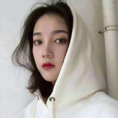 战国佳人游戏下载