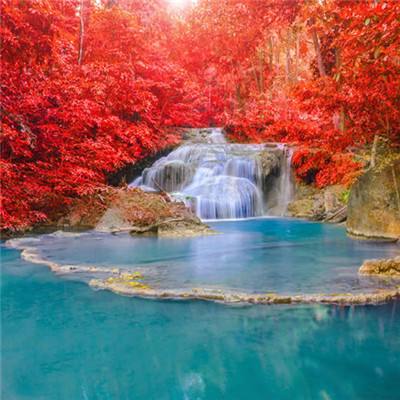 codespark编程时间app下载